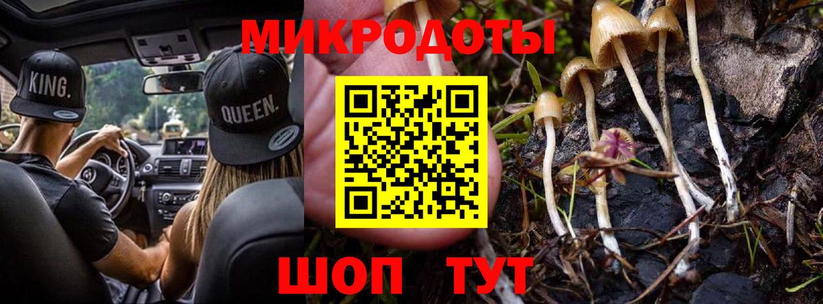 Краснознаменск  Галлюциногенные грибы мицелий  Вход с VPN 